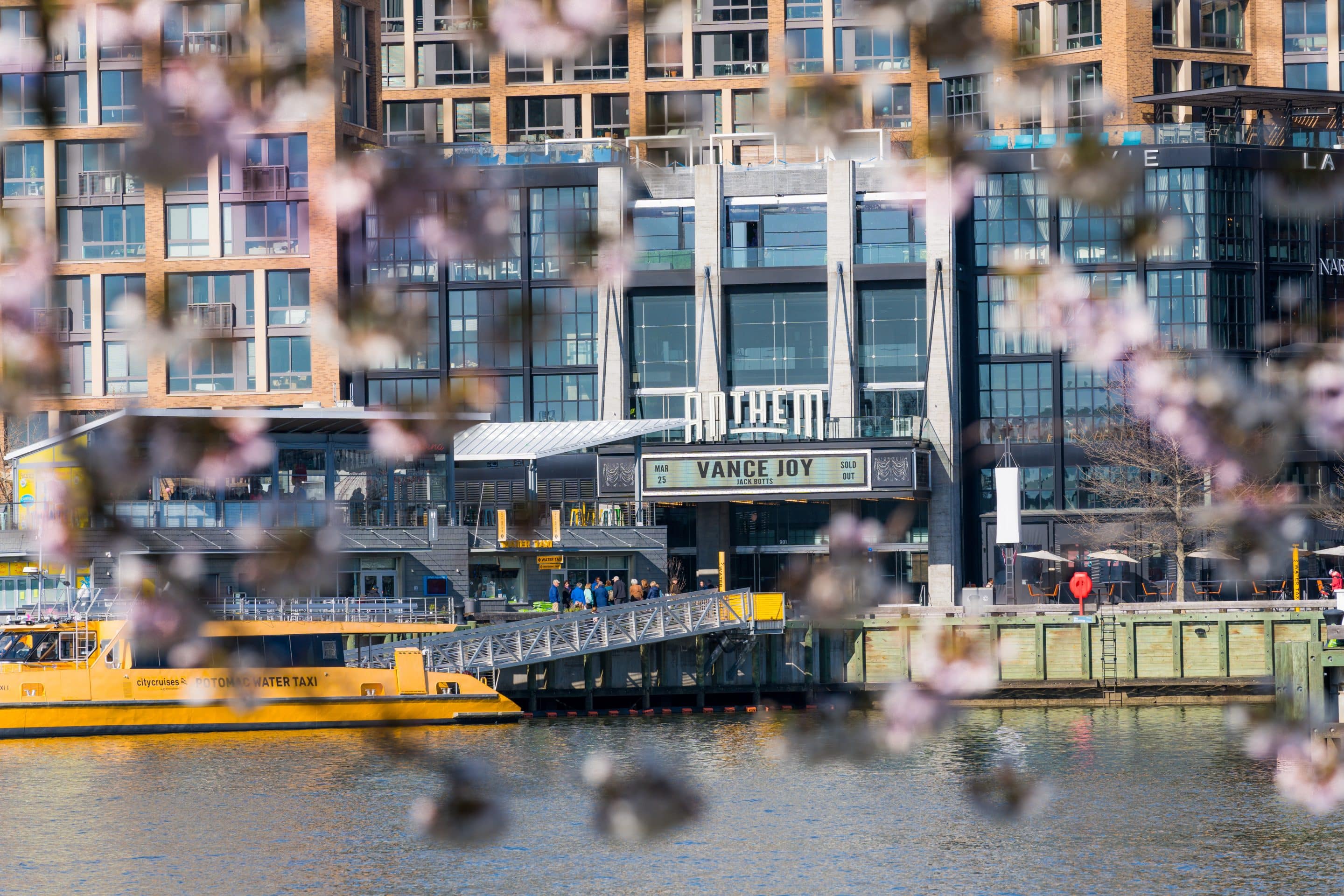 The Anthem Water Taxi Cherry BLossoms courtesy of Destination DC